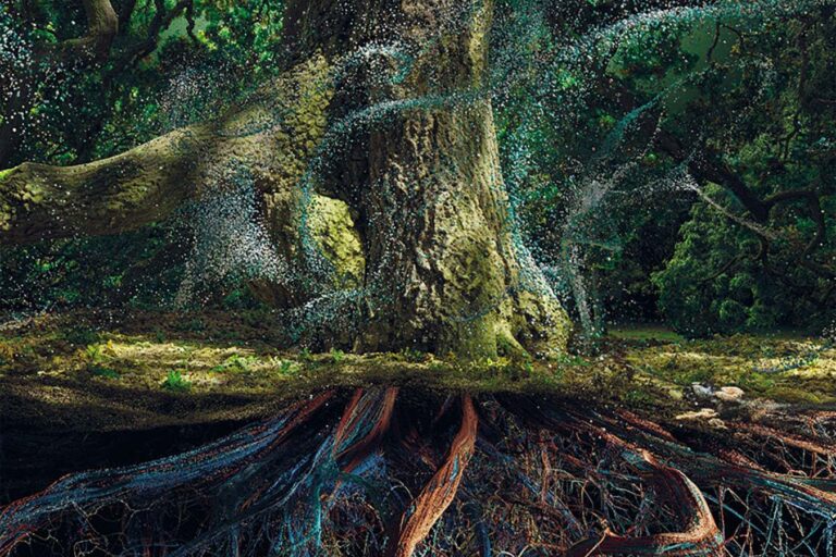 New Scientist recommends Kew Gardens' new Of the Oak exhibition