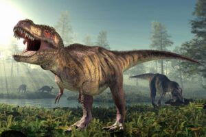 Giant meat-eating dinosaur skulls reveal ‘bone-crushing’ bite